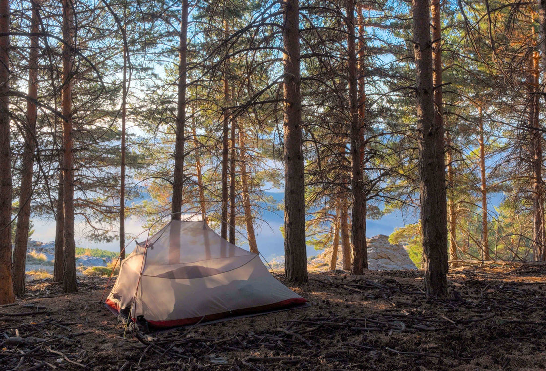 Spring Camping Tips: 15 Essential Ways to Stay Safe, Comfortable, and Prepared